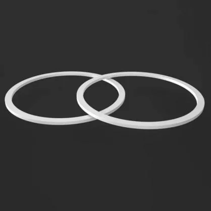 Vòng dự phòng PTFE